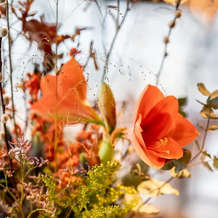 Cityden Bolo District