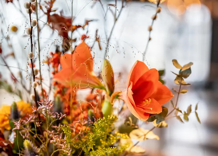 Cityden Bolo District